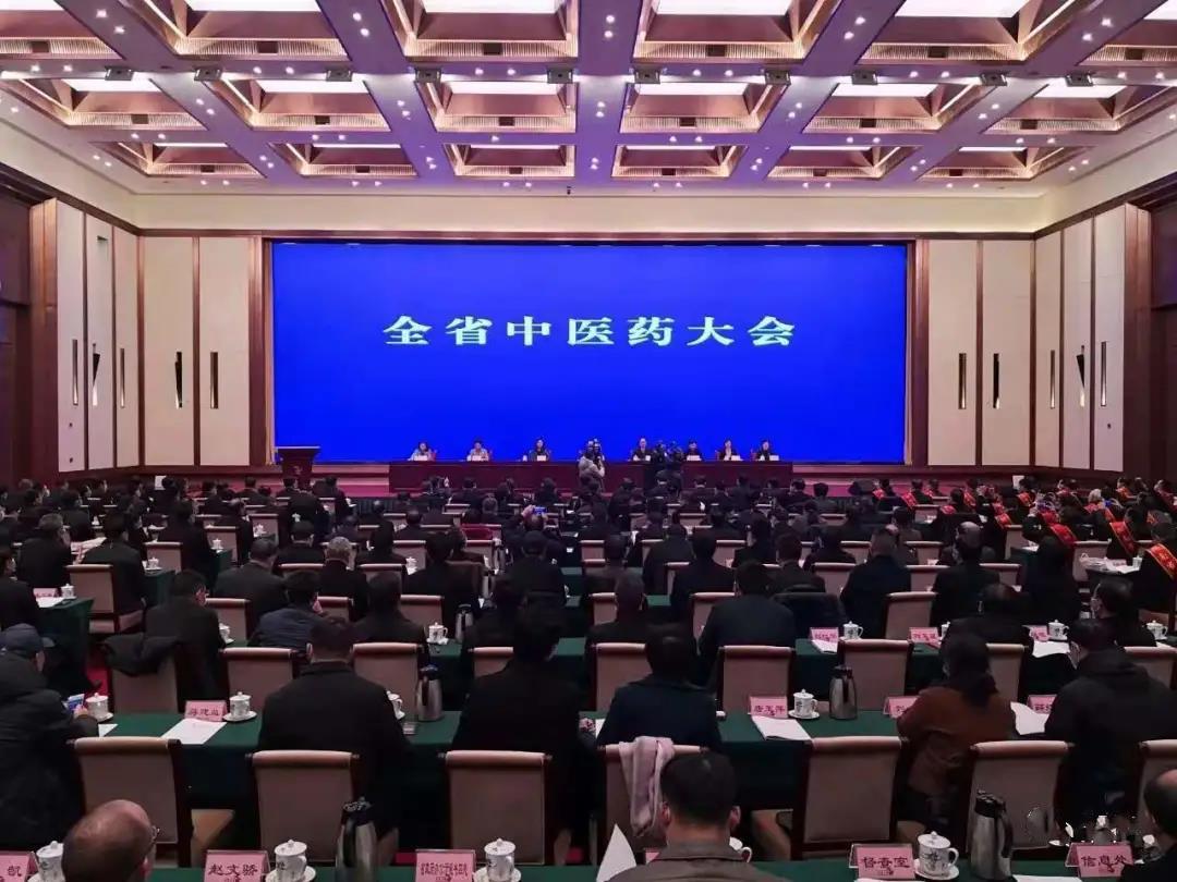 见证盛典，公司应邀参加 湖南省中医药大会